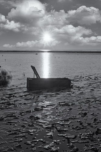 Avond in het Nationaal Park Waddenzee