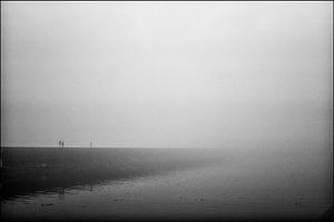 Fog von Joris Louwes