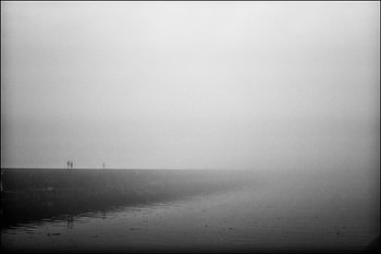 Fog
