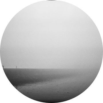 Mist van Joris Louwes