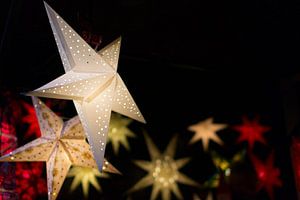 Etoile de Noël Blanc