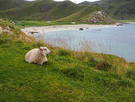 Norway's spectacular nature - mountains, fjords and lakes in impressive photography.