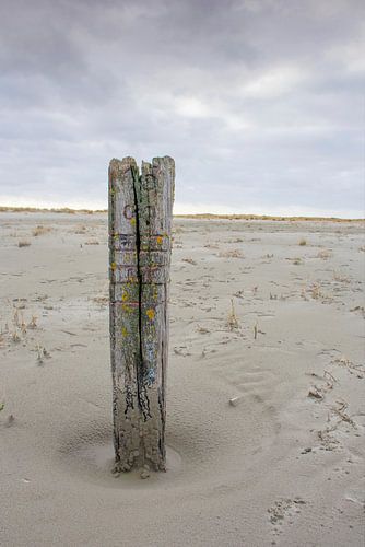 Strandpaal op de Balg, strand van Waddeneiland en Nationaal Park Schiermonnikoog.