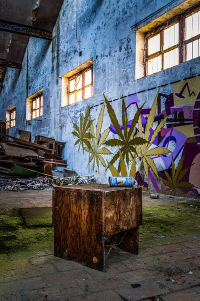 Spray von Paquita Six