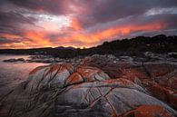 Bay of Fires - Tasmanien von Jiri Viehmann Miniaturansicht