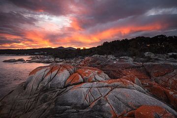 Bay of Fires - Tasmanien von Jiri Viehmann
