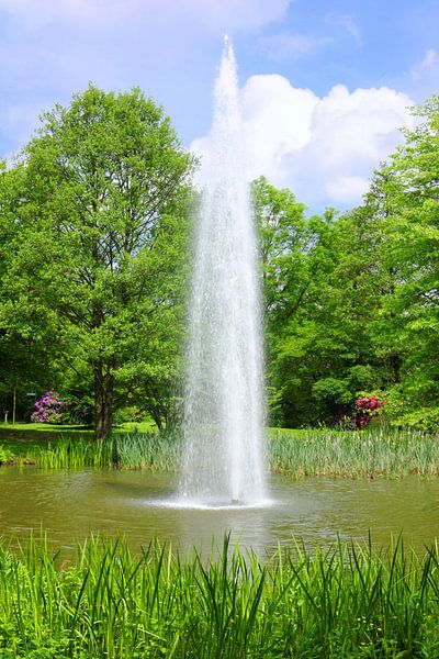 Park-Idylle mit Fontäne von Gisela Scheffbuch