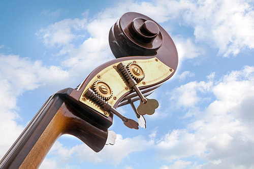 Kontrabass, Detail des Halses des Musikinstruments, Kopf mit Stimmwirbeln und Schriftrolle vor einem