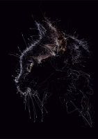 Scribble Art