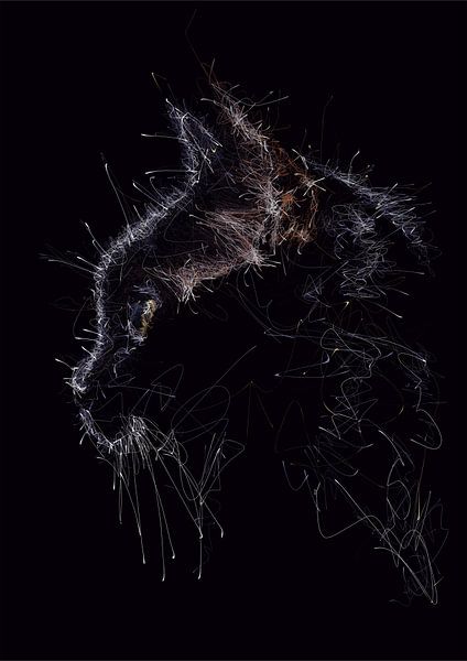 Scribble Art by luminscene