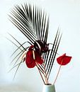 Stilleven rode anthurium en palm blad van Maurice Dawson thumbnail