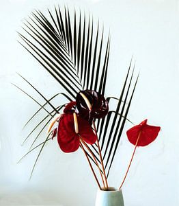 Stilleven rode anthurium en palm blad