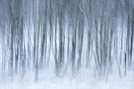 Abstraktes Bild von Winter und Nebel von Sander Grefte Miniaturansicht