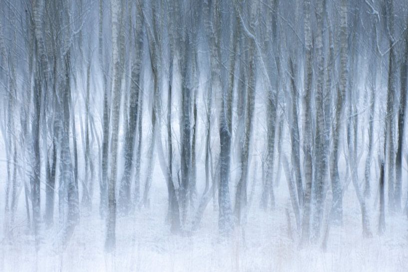 Abstract beeld van winter en mist van Sander Grefte