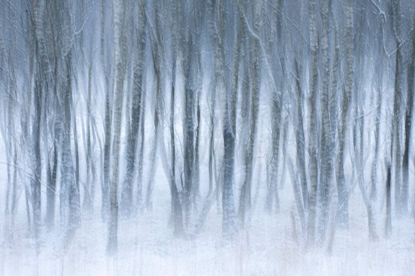 Abstract image of winter and fog by Sander Grefte