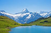 Bachalpsee naar de berg Schreckhorn en Finsteraarhorn van SusaZoom thumbnail