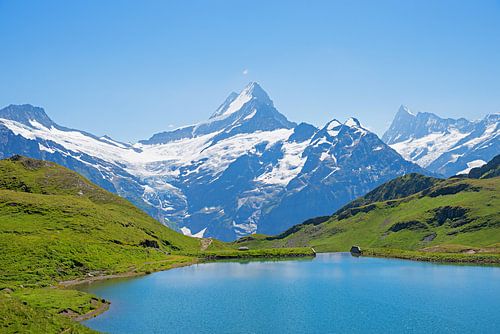 Bachalpsee naar de berg Schreckhorn en Finsteraarhorn