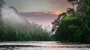 Suriname River at Awaradam in fog during sunrise. by René Holtslag