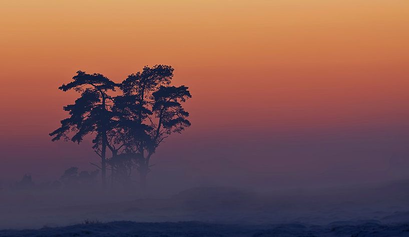 Veluwe-Sonnenuntergang von Marcel van Balkom