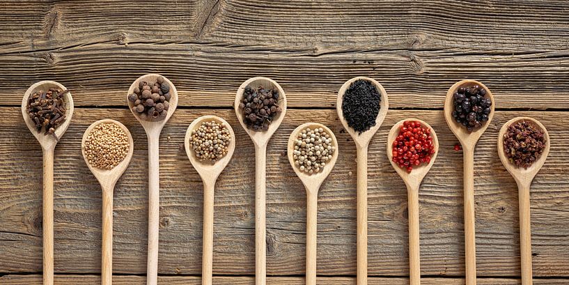Exotic spices on wooden cooking spoons by Photo Art Thomas Klee