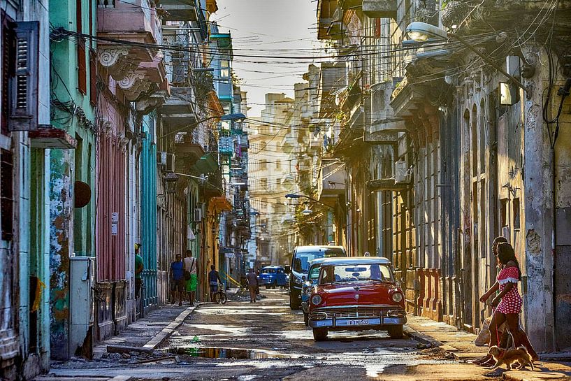 Havana by Hello Pompoyo