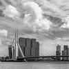 Erasmusbrug Rotterdam (BNW) van Jeanette van Starkenburg