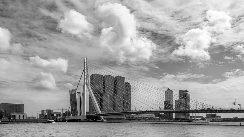 Erasmusbrug Rotterdam (BNW) van Jeanette van Starkenburg