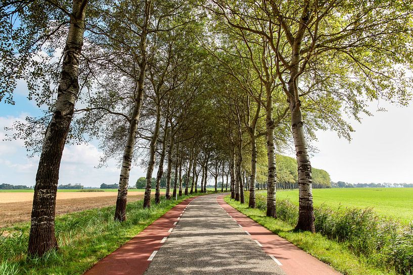 Wierumerschouwsterweg by Evert Jan Luchies