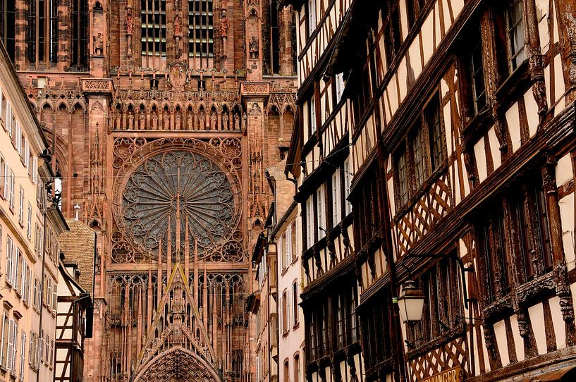 Strasbourg, view of the Cathedral by Brand Timmer