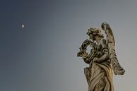 La couronne d'épines et la lune par Sjoerd Mouissie Aperçu