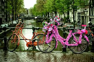 Amsterdam Blumen Fahrrad von marlika art