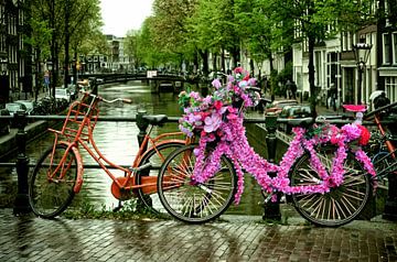 Amsterdam flowers bike by marlika art