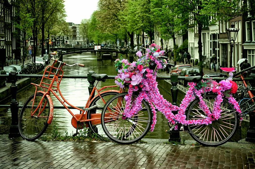 Amsterdam flowers bike by Marlika Art