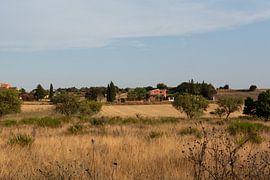 Sunset over the Sardinian landscape by Xulé Bogers