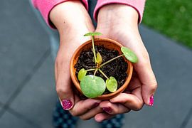 Merci Kayleigh sur Truckpowerr