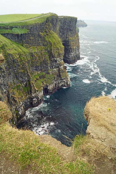 Cliff's of Moher - Irland von Babetts Bildergalerie