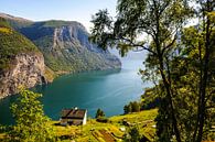 Blick von den hohen Klippen über den Aurlandsfjord in Norwegen von Sjoerd van der Wal Fotografie Miniaturansicht