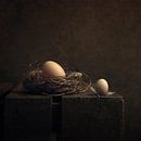 Nature morte "Deux œufs" par Carolien van Schie Aperçu