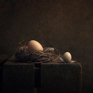 Stillleben "Zwei Eier" von Carolien van Schie