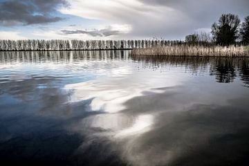 Zegerplas van Leo Drughorn