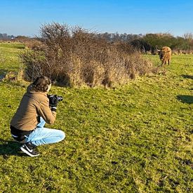 Joyce Kelly Photography Profilfoto