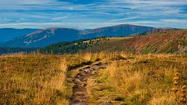Ganzon du Faing in de Vogezen van Tanja Voigt