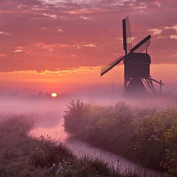 Sonnenaufgang im Alblasserwaard von Halma Fotografie