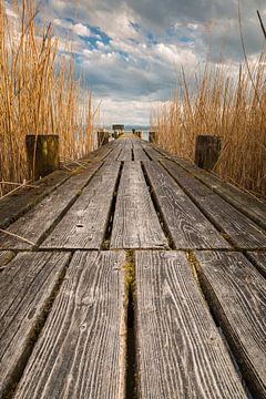 pad in riet van Denis Feiner