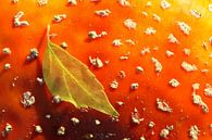 Herbstblatt auf Fliegenpilz von Antwan Janssen Miniaturansicht