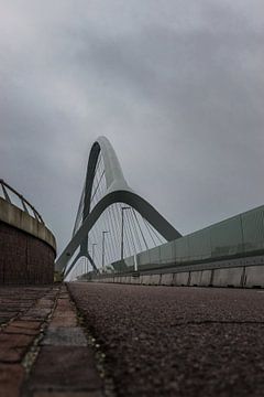 La traversée de Nijmegen