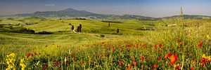 Lente in de Val d'Orcia in Toscane van Walter G. Allgöwer