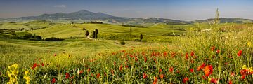 Lente in de Val d'Orcia in Toscane van Walter G. Allgöwer