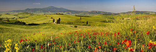 Lente in de Val d'Orcia in Toscane
