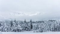 Snowy landscape in Maishofen (A)